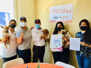 WhatsApp Image 2021-05-22 at 15.40.21