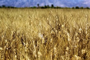 9b00f757-2c98-4658-b9c0-1db0e2b79a21