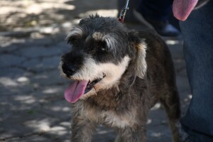 WhatsApp Image 2022-08-11 at 2.17.13 PM (1)