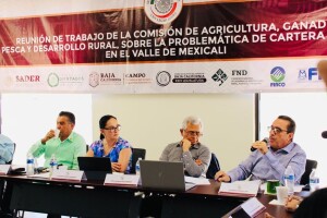 e1302763-3c13-dfe3-0210-44f99f90d348