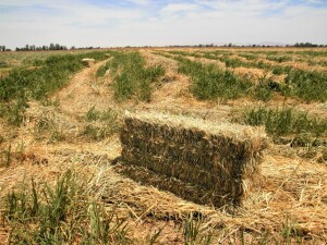 f5d28c13-191b-4cb1-b5f2-1d6fb800d767