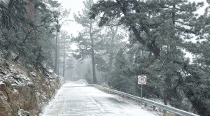 PRIMER NEVADA