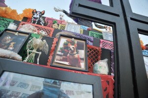 WhatsApp Image 2022-11-08 at 2.47.37 PM (1)