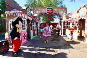 WhatsApp Image 2022-11-24 at 2.56.52 PM