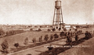 WhatsApp Image 2023-02-28 at 7.55.18 PM