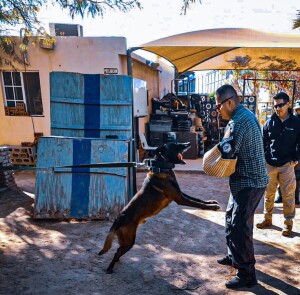 f31878d4-c61b-4554-a8ca-113d256ecd01