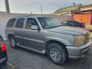 WhatsApp Image 2023-03-09 at 7.04.50 AM