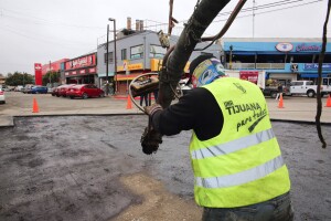 00edd4fe-c1e6-4383-b435-152bd7b2080f