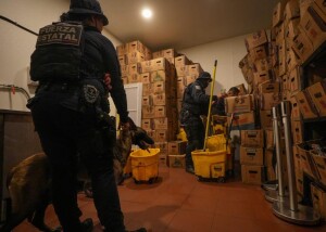 WhatsApp Image 2023-04-19 at 1.13.56 PM