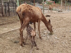 9b5b1c27-54b6-46e3-8cd3-7b91debe33b3