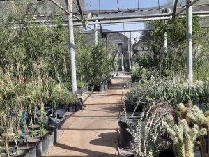 WhatsApp Image 2023-06-07 at 9.54.21 AM