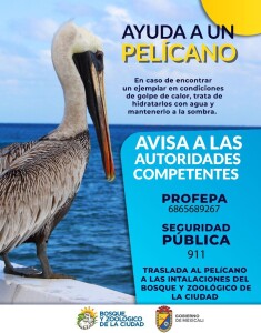 WhatsApp Image 2023-07-04 at 7.22.20 PM