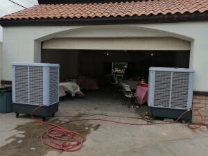 WhatsApp Image 2023-07-24 at 11.40.35 AM (1)