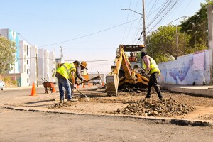 987da02d-b62b-489a-a5e4-a2bde023e2ce