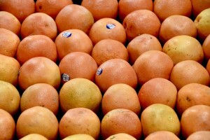 WhatsApp Image 2023-09-05 at 2.40.46 PM