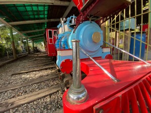 WhatsApp Image 2023-09-15 at 12.20.59 PM