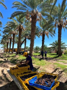 f75052f3-8de6-4f1f-b221-21692dbbe5bd