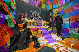 3ee239f1-a773-4d96-88fe-eb8ecb7cb8a7