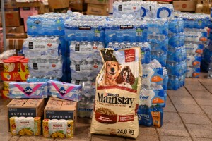 6d49ce9a-92c6-4370-a5b5-40a35028f675