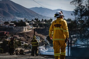 WhatsApp Image 2023-11-23 at 12.48.58 PM (1)