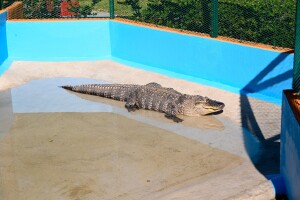 a84b65bf-401c-4fa0-b986-b3bb58ebe504