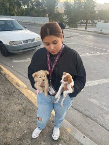 d5f526ae-2c82-449d-951c-b283e00e0e51