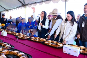 eab1d8c4-1d58-46bb-8f79-28448bf1bbe4