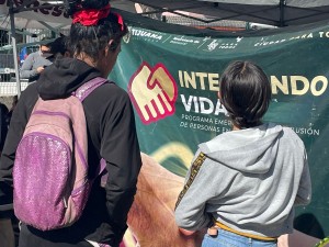 intevidas1