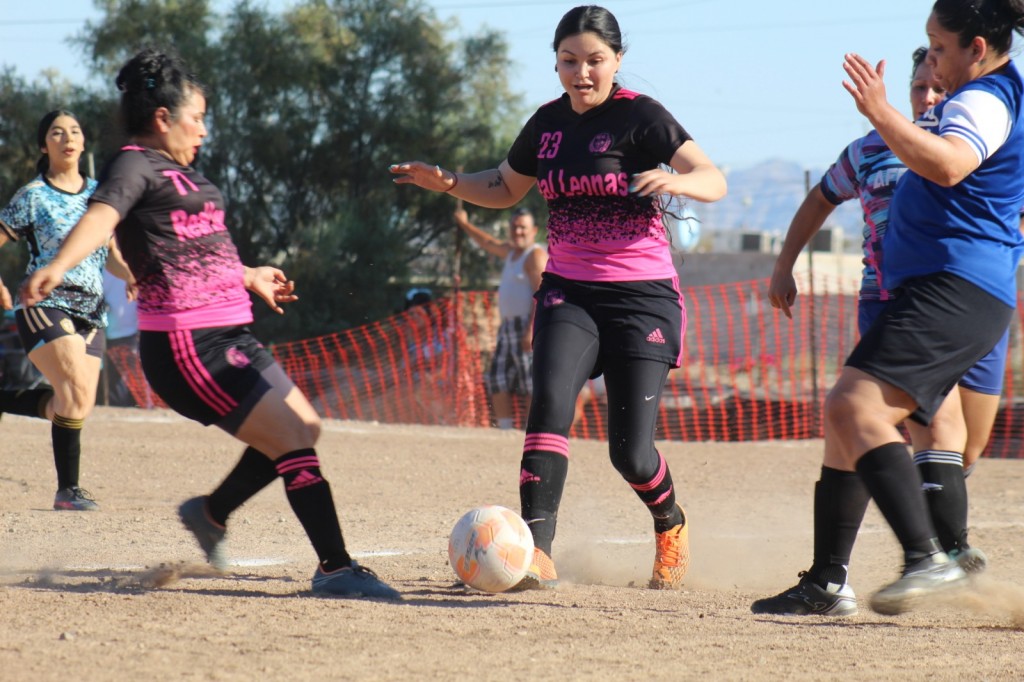 ce595e9d-e043-40db-bb69-cedb8b38a8ab