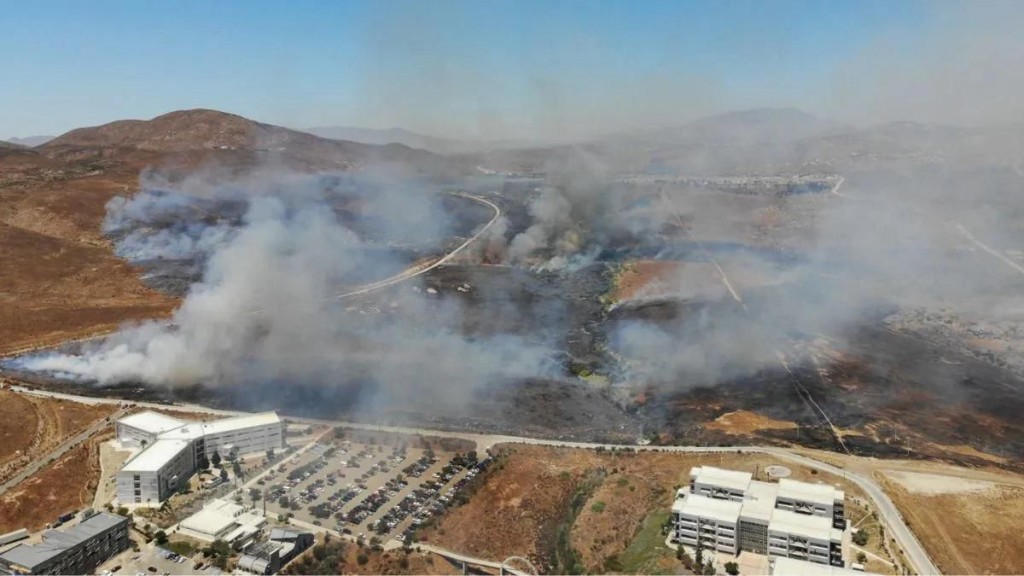 WhatsApp Image 2024-06-01 at 11.40.46 AM (2)