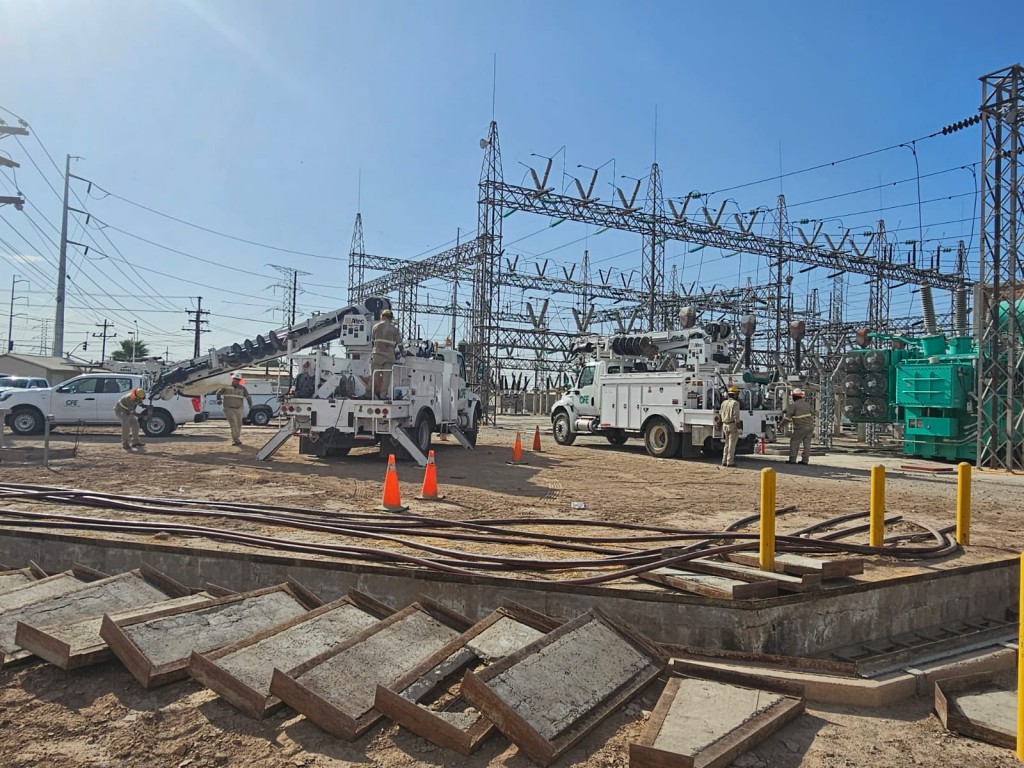 WhatsApp Image 2024-08-20 at 4.46.59 PM