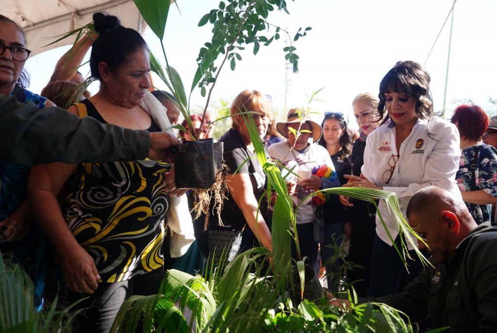 WhatsApp Image 2024-10-09 at 1.25.36 PM (1)