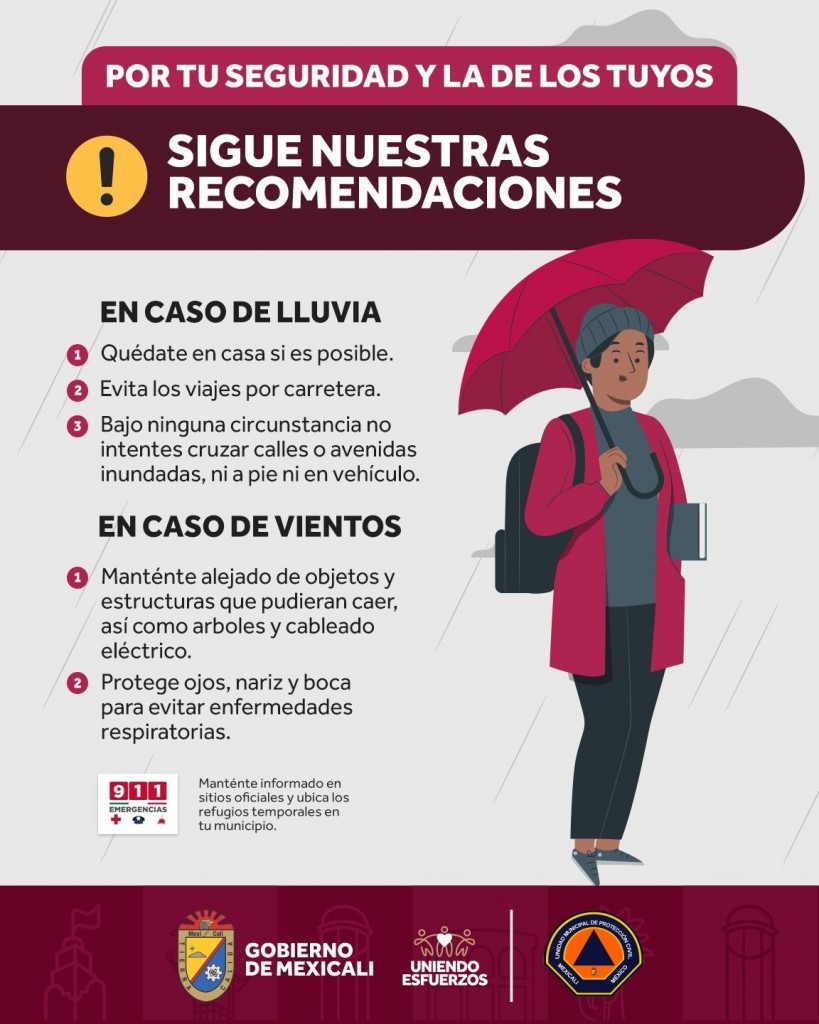 WhatsApp Image 2024-10-28 at 12.58.23 PM - copia